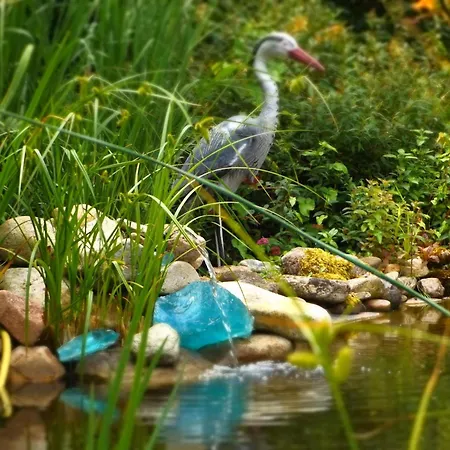 Saechsische Schweiz Apartmán