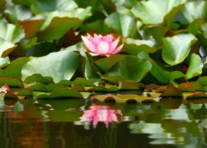 شقة Saechsische Schweiz بيرنا